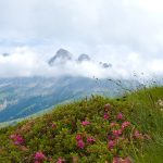 Auf dem Weg zum Latemar mit Blick auf den Rosengarten