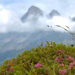 Auf dem Weg zum Latemar mit Blick auf den Rosengarten