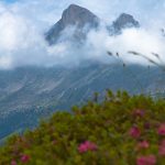 Auf dem Weg zum Latemar mit Blick auf den Rosengarten