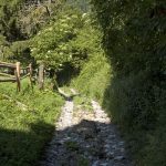 Wandern im Naturpark Trudner Horn