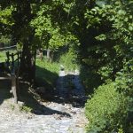 Wandern im Naturpark Trudner Horn