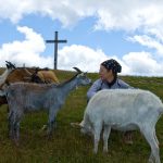 Auf dem Zanggen Plateau