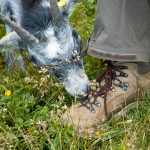 Wanderung zum Zanggen