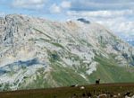 Ausblick vom Zanggen