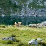 Am lago delle stellune