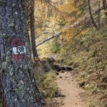 Vom Furkelpass zum Hochalmsee