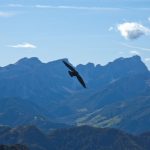 Vom Furkelpass zum Hochalmsee