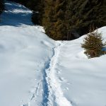 Schneeschuhwanderung Sarner Hütte Auener Jöchl Meran 2000