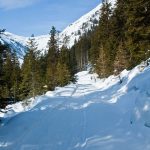 Schneeschuhwanderung zur Seeberghütte im Sarntal