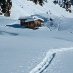 Traminner oder Traminer Alm? Wandern im Sarntal