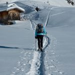 Traminner oder Traminer Alm? Wandern im Sarntal