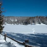 Rund um den Felixer Weiher im oberen Val di Non