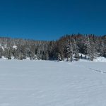 Auf dem Felixer Weiher im oberen Val di Non