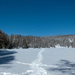 Auf dem Felixer Weiher im oberen Val di Non