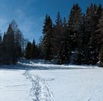 Auf dem Felixer Weiher im oberen Val di Non