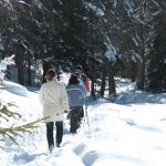 Winterwanderung am Felixer Weiher