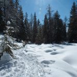 Winterwanderung am Felixer Weiher