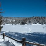 Wandern am Felixer Weiher