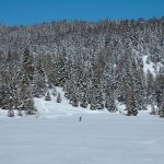 Wandern am Felixer Weiher