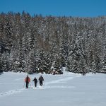 Auf dem Felixer Weiher im oberen Val di Non