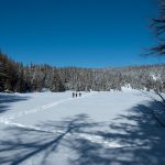 Auf dem Felixer Weiher im oberen Val di Non