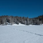 Auf dem Felixer Weiher im oberen Val di Non