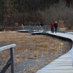 Schilfgürtel im Naturschutzgebiet Montiggler See