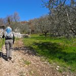 Wanderung von Campione nach Pregasio