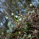 Wandern im Frühlingstal in Südtirols Süden