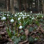 Wandern im Frühlingstal in Südtirols Süden