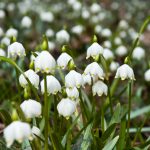 Wandern im Frühlingstal in Südtirols Süden