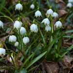 Wandern im Frühlingstal in Südtirols Süden