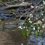 Wandern im Frühlingstal in Südtirols Süden