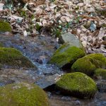 Wandern im Frühlingstal in Südtirols Süden