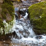 Wandern im Frühlingstal in Südtirols Süden