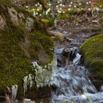 Wandern im Frühlingstal in Südtirols Süden