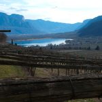 Der Kalterer See im Weinanbaugebiet Kaltern