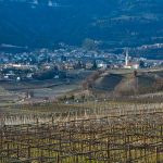 Wein und Wandern in Kaltern