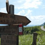 Weinwandertag Kaltern