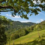 Wandern oberhalb von Bozen