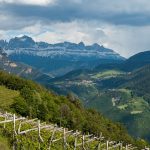 Wandern oberhalb von Bozen