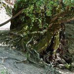 Wandern oberhalb von Bozen