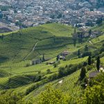 Wandern oberhalb von Bozen