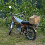 Motorrad im Weinberg bei Bozen