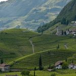 Wandern oberhalb von Bozen