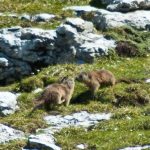 Wandern im Naturpark Puez Geisler