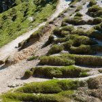 Wanderung zum Puez in Südtirol