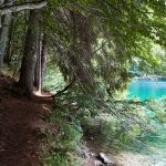 Wandern am Lago di Tovel