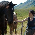 Pferd bei der Wanderung Col di Lana