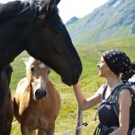 Pferd bei der Wanderung Col di Lana